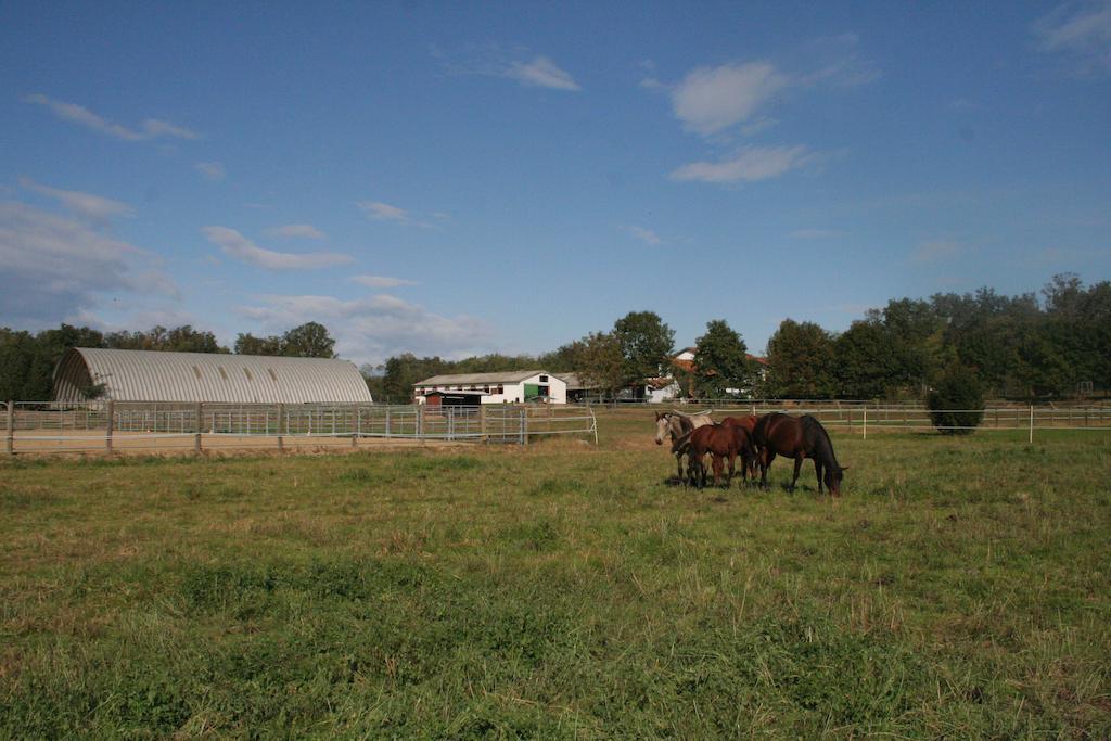 Agriturismo Fano'S Farm Suno Eksteriør bilde